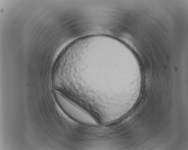 X0000073931468200609082251