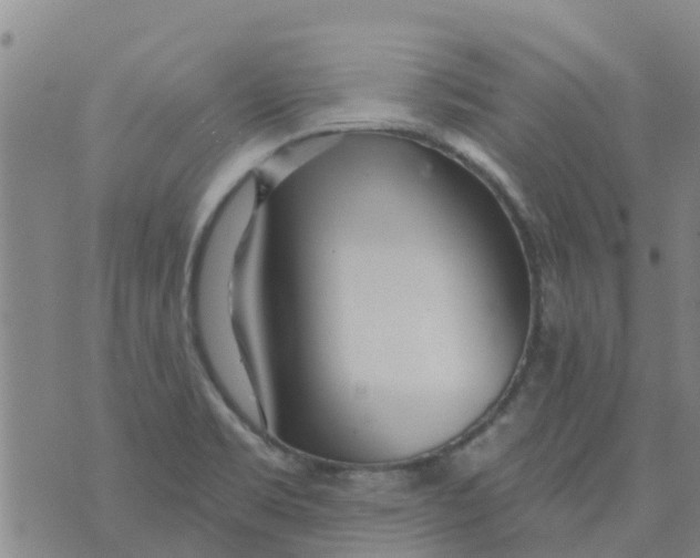 X0000073931469200609082251