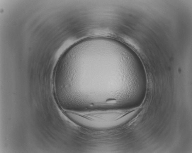 X0000073931471200609082250