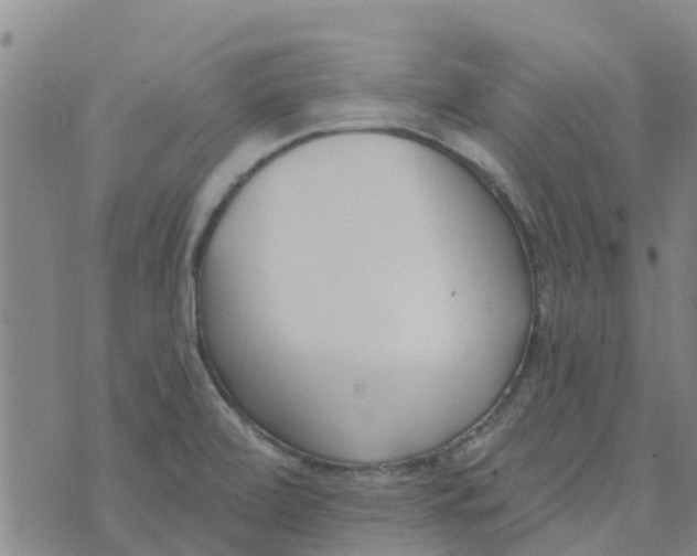 X0000073931472200609082250