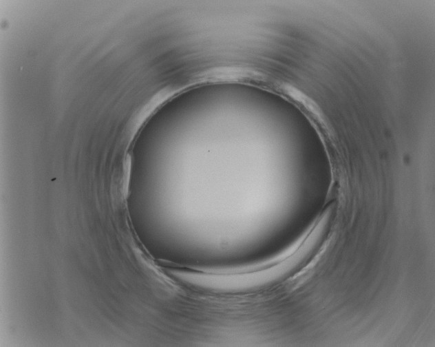 X0000073931473200609082250