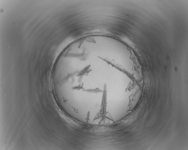 X0000073931474200609082250