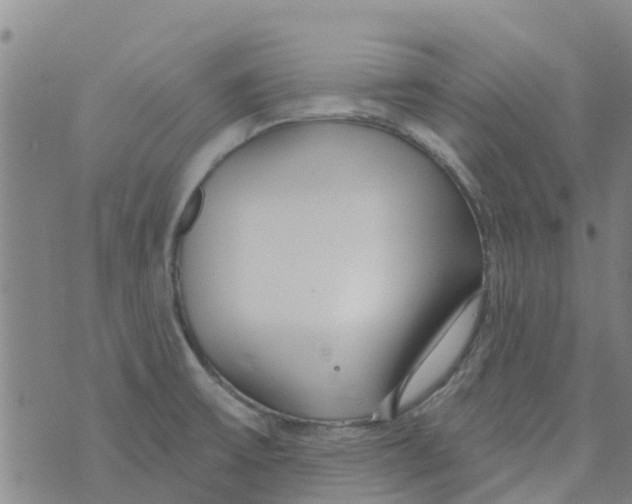 X0000073931475200609082250