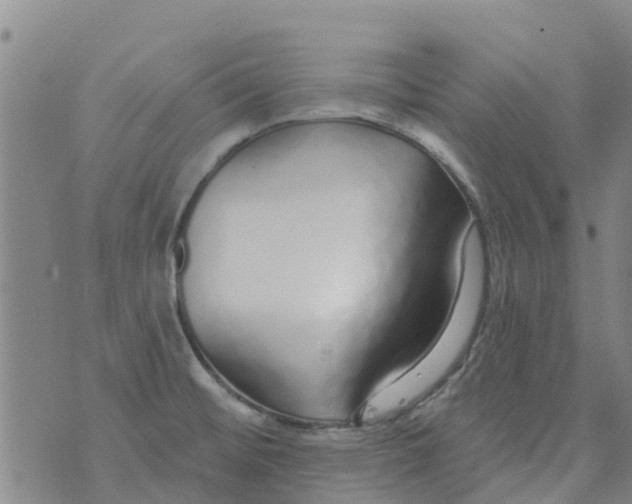 X0000073931476200609082250