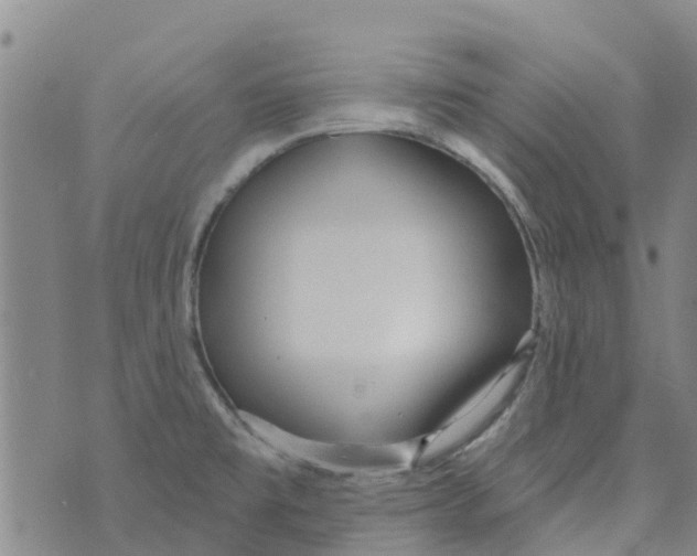 X0000073931477200609082250