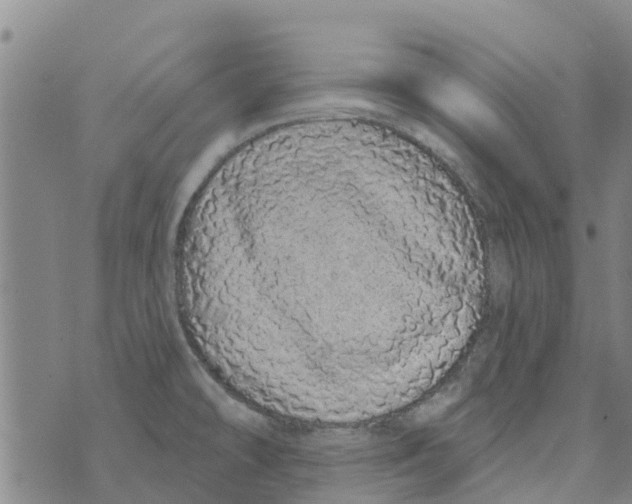 X0000073931478200609082250