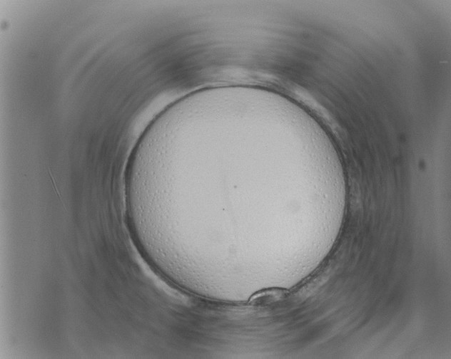 X0000073931479200609082250