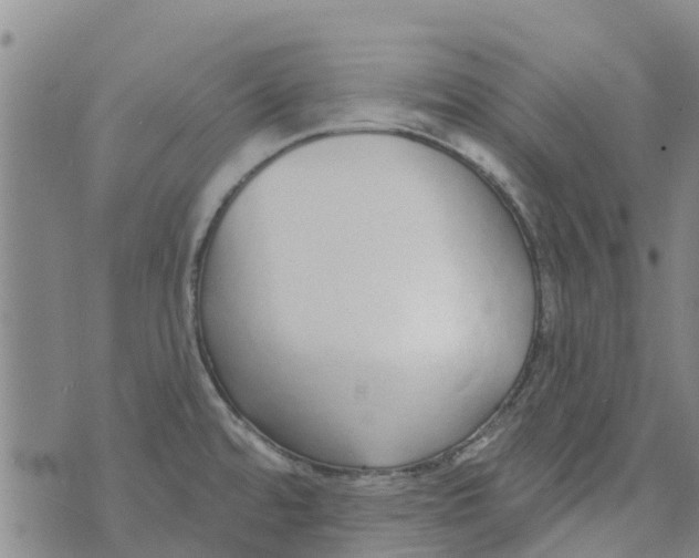 X0000073931480200609082250