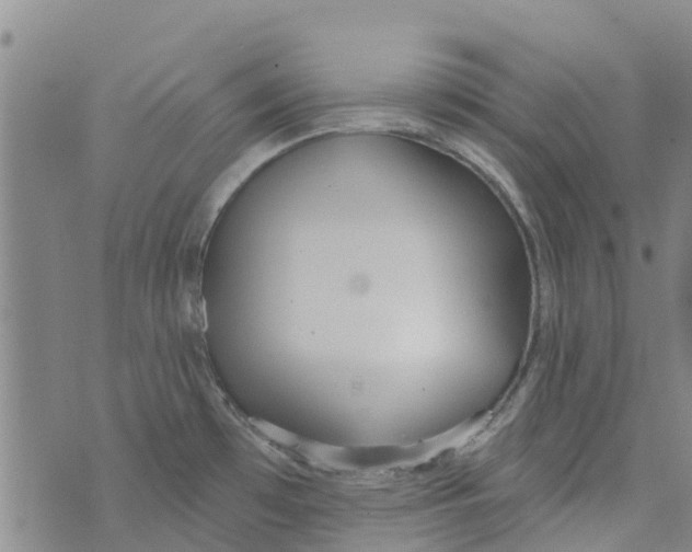 X0000073931481200609082250