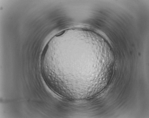 X0000073931483200609082250