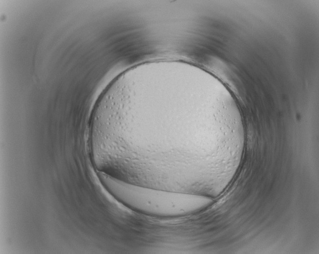 X0000073931484200609082250