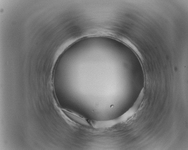 X0000073931485200609082250