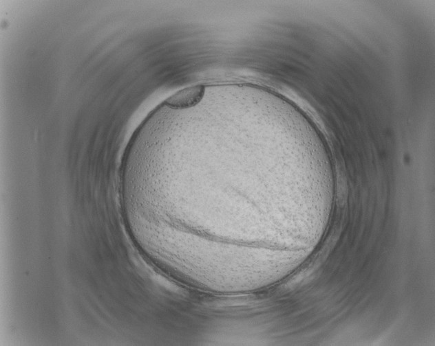 X0000073931486200609082250