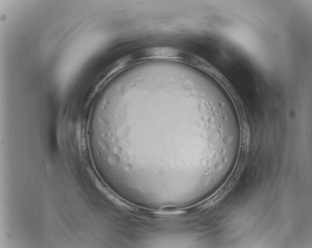 X0000073931487200609082250