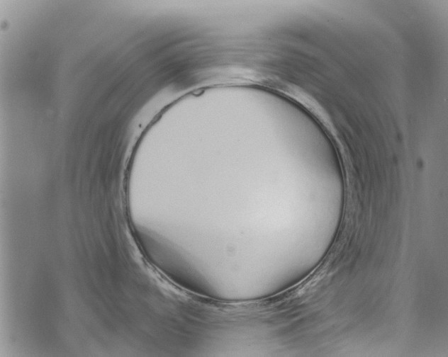 X0000073931488200609082250