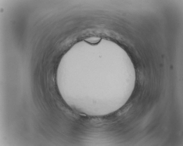 X0000073931489200609082249