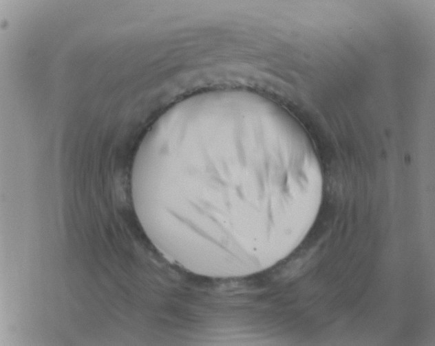 X0000073931490200609082249