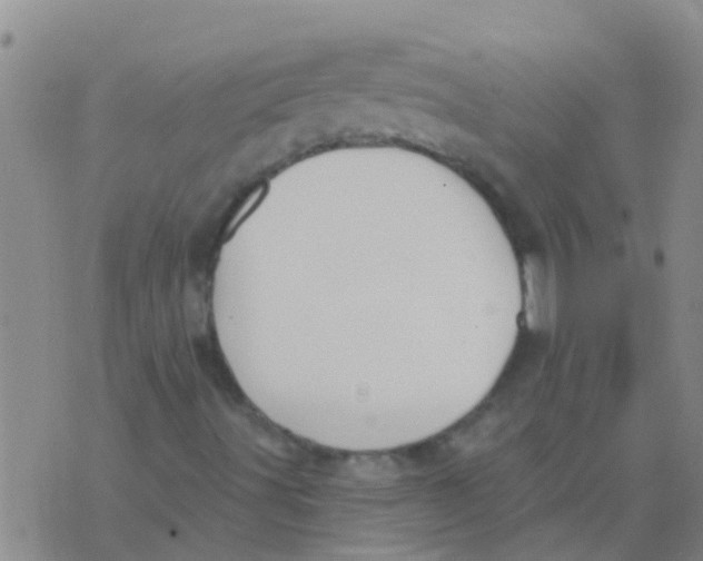 X0000073931491200609082249