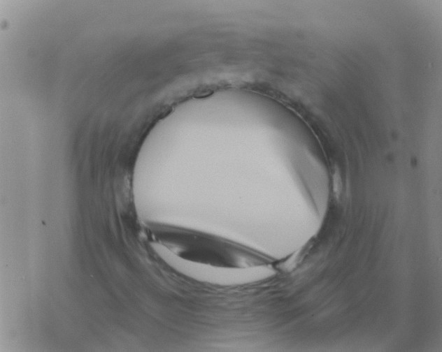 X0000073931492200609082249