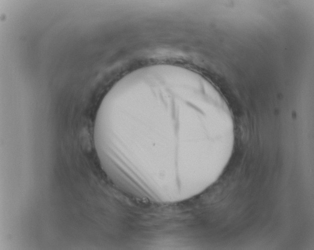 X0000073931493200609082249