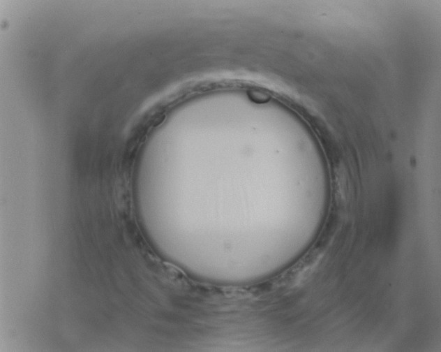 X0000073931494200609082249