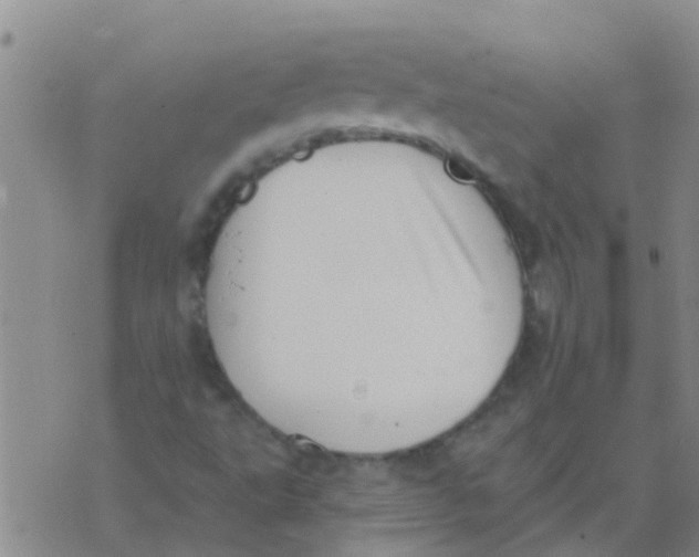 X0000073931495200609082249