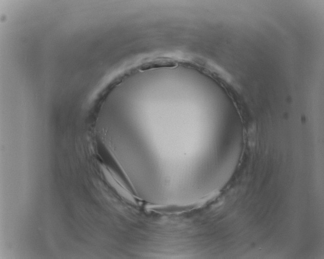 X0000073931496200609082250