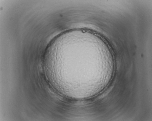 X0000073931497200609082250