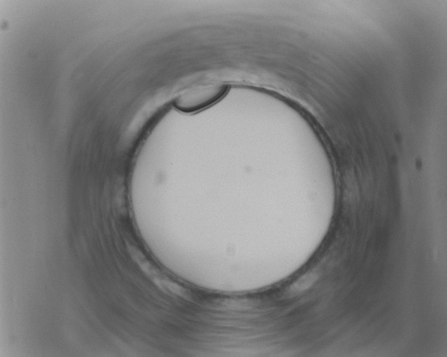 X0000073931499200609082250