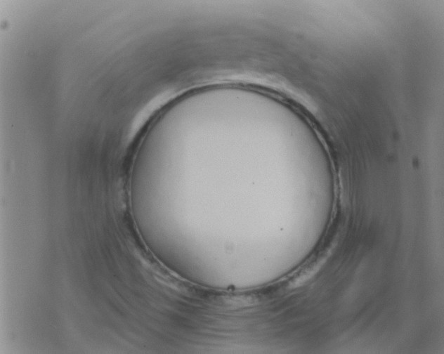 X0000073931501200609082250