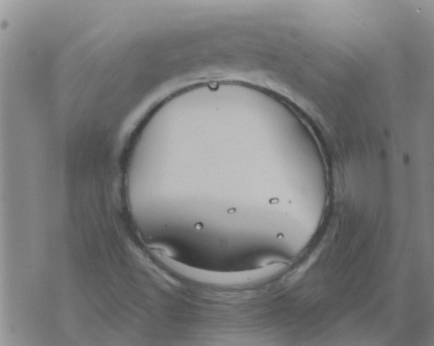 X0000073931502200609082250