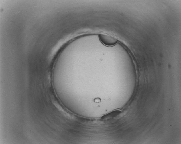 X0000073931503200609082250