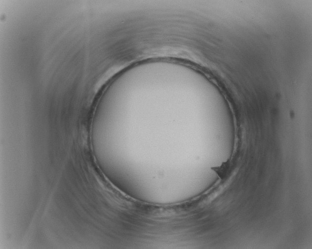 X0000073931505200609082250