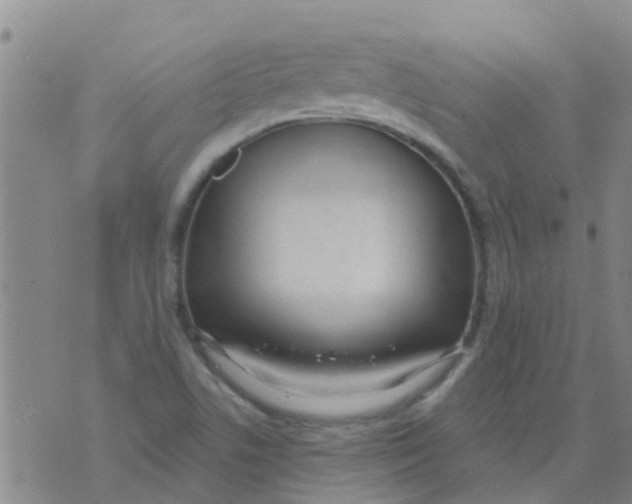 X0000073931506200609082250