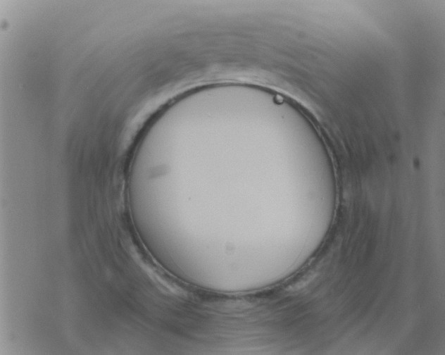 X0000073931507200609082250