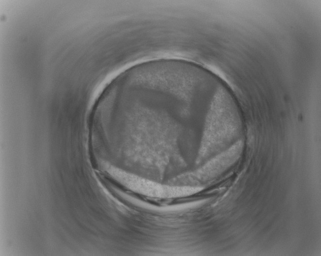 X0000073931508200609082250