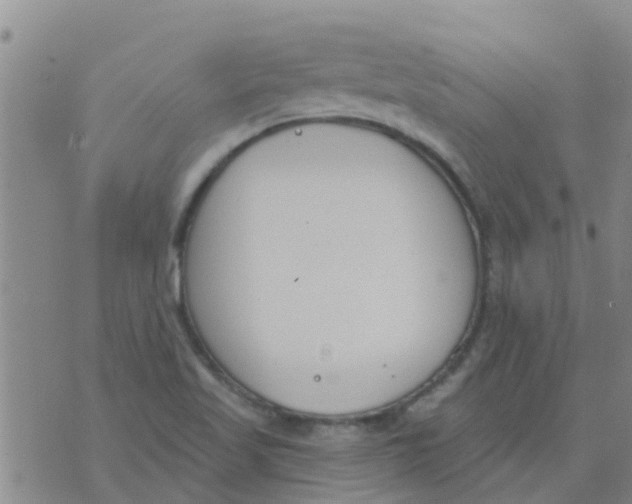 X0000073931509200609082250