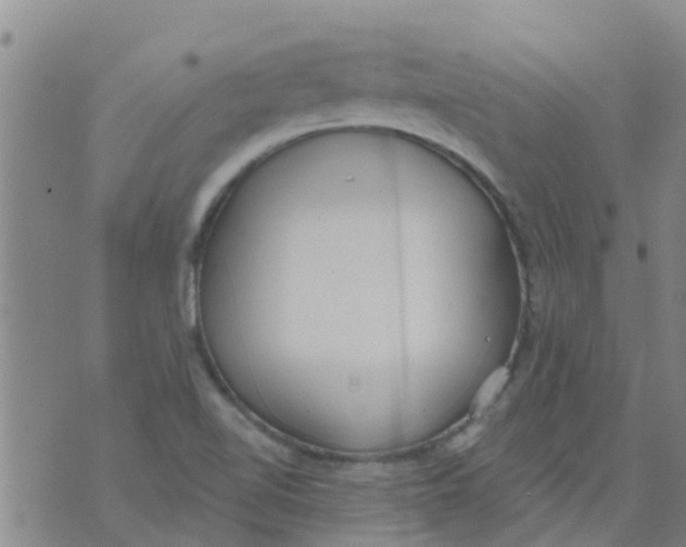 X0000073931510200609082250