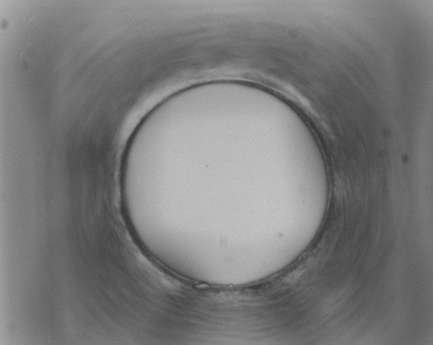 X0000073931512200609082250