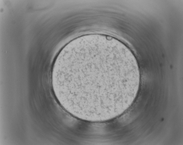 X0000073931514200609082250