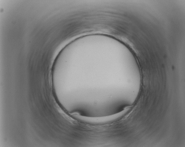 X0000073931516200609082250