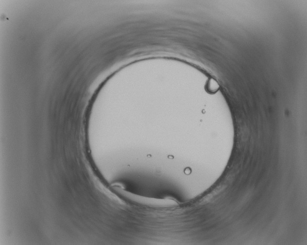 X0000073931518200609082250