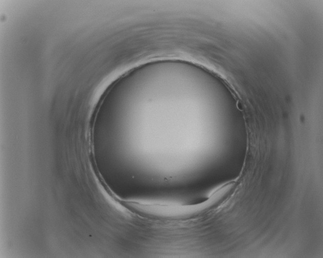 X0000073931519200609082250