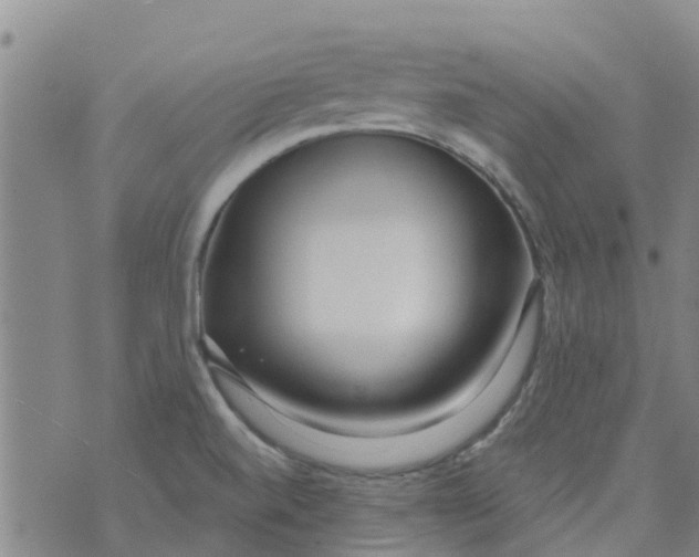 X0000073931520200609082250