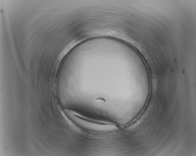 X0000073931521200609082250