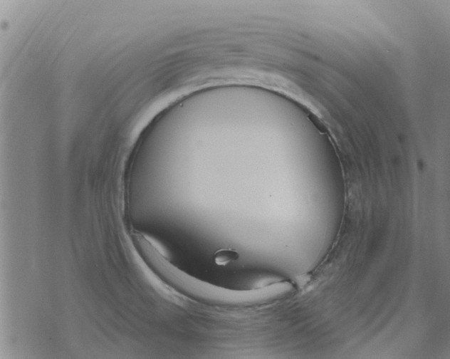 X0000073931523200609082250