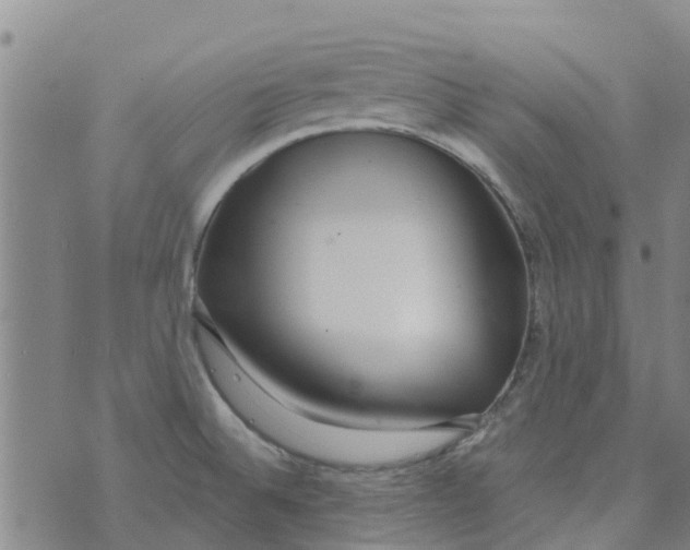 X0000073931524200609082250