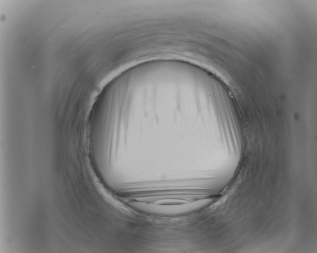 X0000073931526200609082250