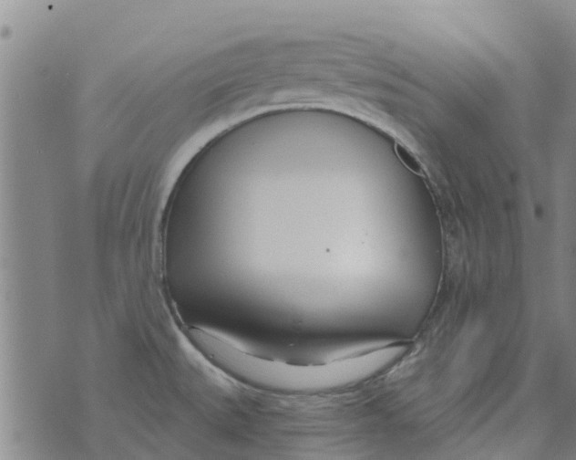 X0000073931527200609082250