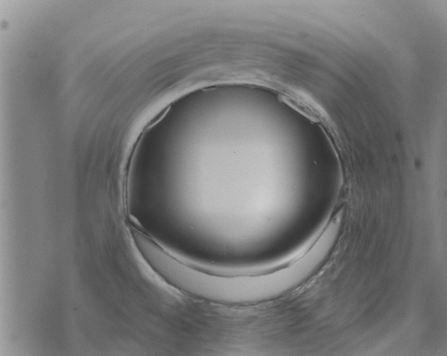 X0000073931528200609082250